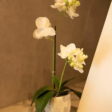 Beautiful Center In Near Medieval Castle Apartment